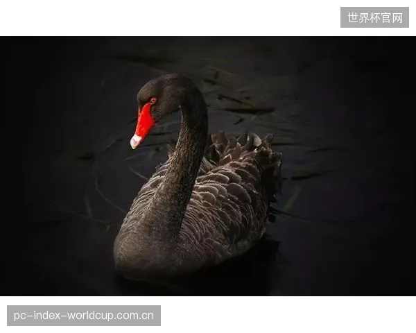 主计时系统宕机后,缺乏OCXO同步的备用系统能否承受“黑天鹅”事件的冲击? 主计时系统宕机后,缺乏OCXO同步的备用系统能否承受“黑天鹅”事件的冲击?